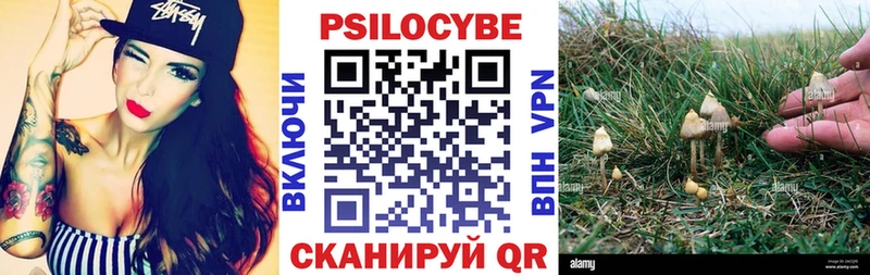 ОМГ ОМГ сайт  Касимов  Галлюциногенные грибы прущие грибы 