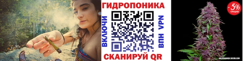 blacksprut как зайти  где можно купить   Касимов  Бошки Шишки марихуана 